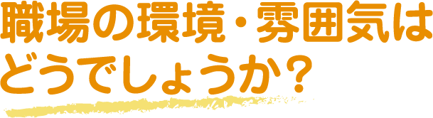 職場の環境・雰囲気はどうでしょうか?